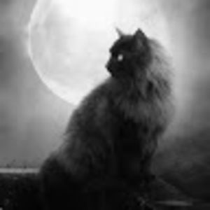 Meet your Posher, Mickaela